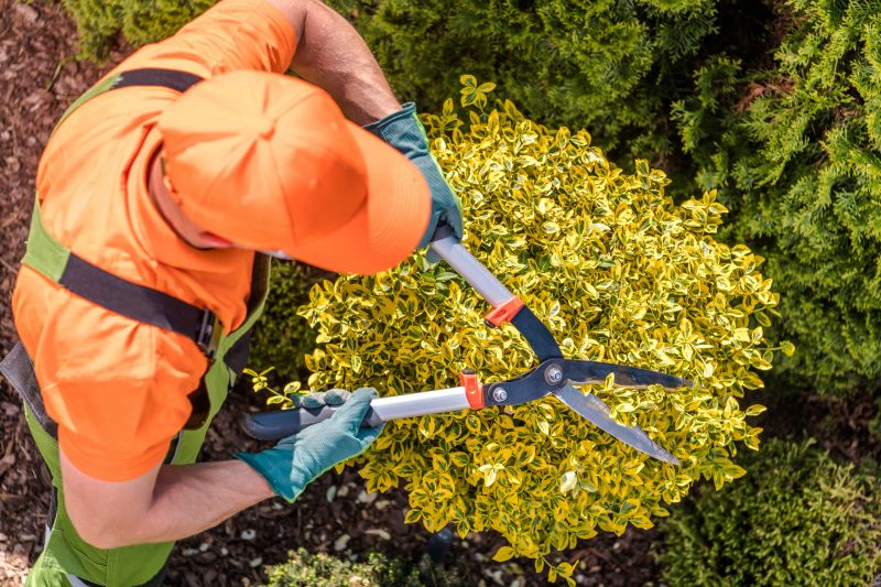 Shrub Pruning in Ventura County, CA