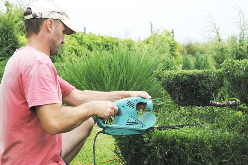Bush Trimming Service in Ventura County, CA