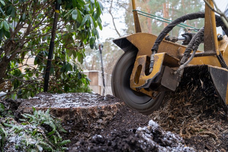 Commercial Stump Grinding in Pottstown, PA