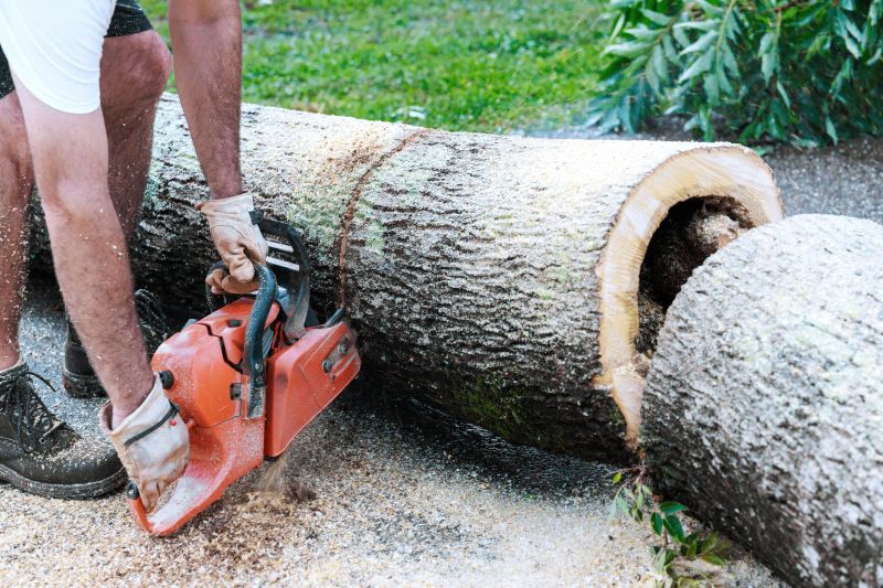 Commercial Tree Removal in Pottstown, PA