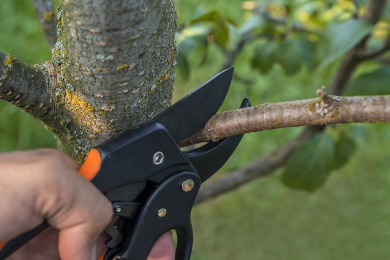 Dead Tree Removal in Doylestown, PA