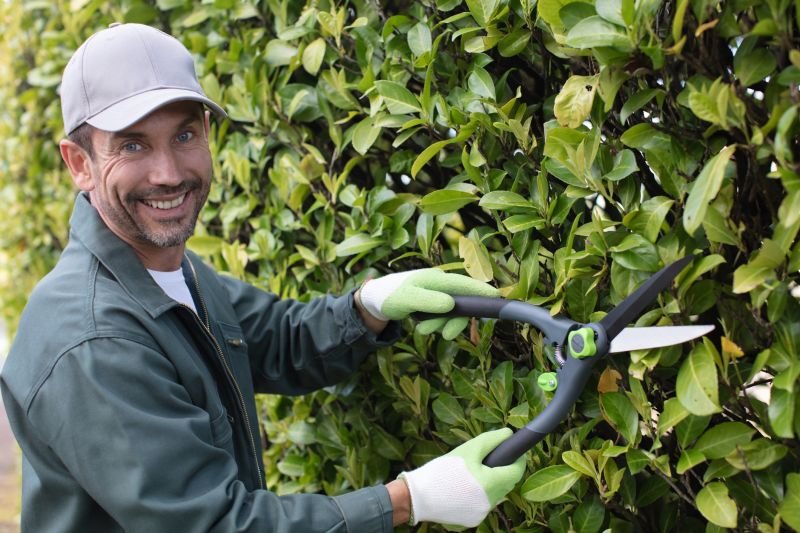 Evergreen Hedge Trimming in Aiken, SC