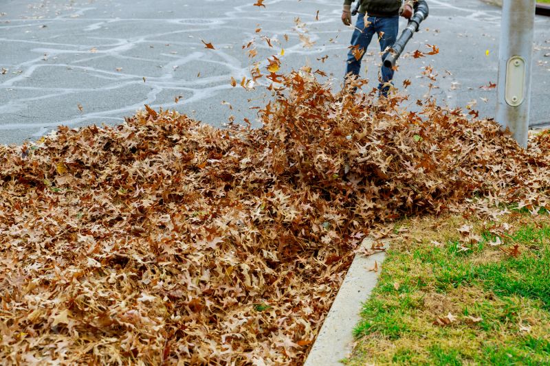 Fall Leaf Removal Equipment