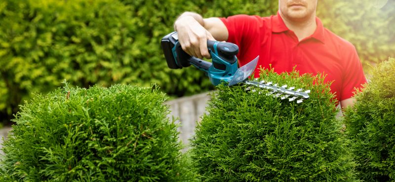 Neatly Trimmed Shrubs