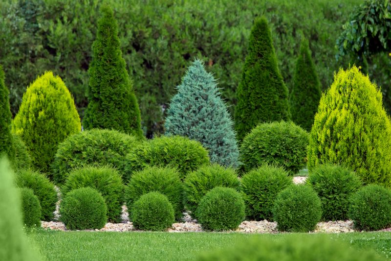 Shrubs Transplanting Cost Guide — Cost of Shrubs Transplanting